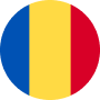 Language icon