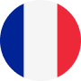 Language icon