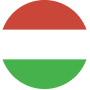 Language icon