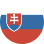 Language icon