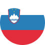 Language icon